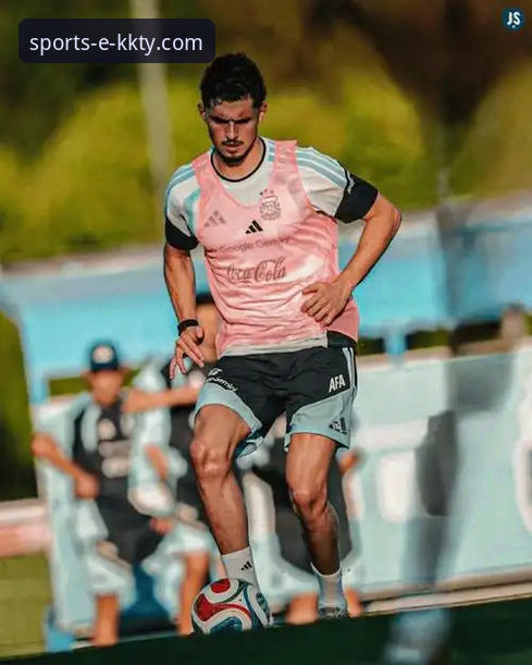 阿根廷世界杯征程遇阻：帕尼切利重伤事件深度分析与球迷应对指南